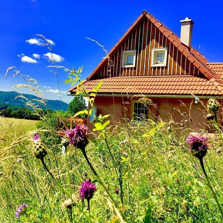 Kopanicky Dvor Guest House Hodrusa Exterior photo