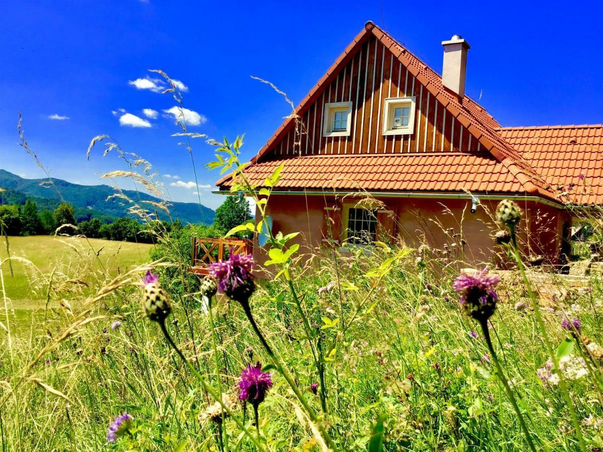Kopanicky Dvor Guest House Hodrusa Exterior photo