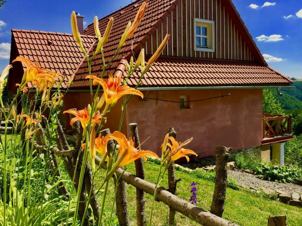 Kopanicky Dvor Guest House Hodrusa Exterior photo
